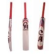 CA Cricket English...