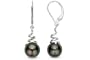 8-9mm Black Tahitian Pearl Earrings in 14k White Gold