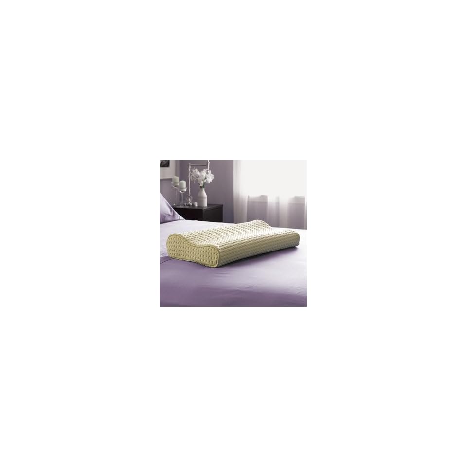 Sealy Embody Contour Memory Foam Pillow On Popscreen