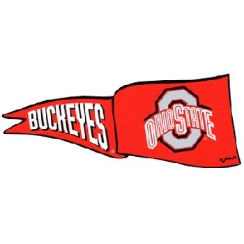 Ohio State University Car Magnet Pennant Small 2 P Case Pack 48