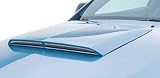 3dCarbon 691017 Ford Mustang 05-09 Ram Air Style Hood Scoop
