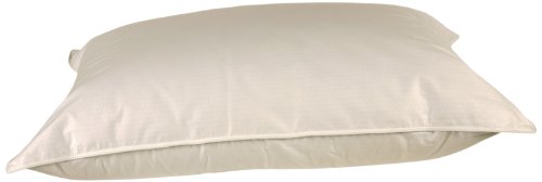Outlast Temperature Regulating Fiber Filled Bed Pillow, King