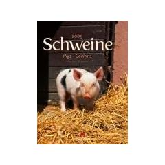 Schweine 2009