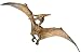 Pteranodon