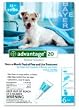 Advantage Topical Solution Flea Treatment for Dogs 11 to 20 Pounds, 6 Applications