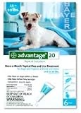 Advantage Flea Control for Dogs, 11-20 lbs Teal, 6 Month