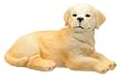 Golden Retrievere Puppy - Cold Cast Resin - 4.5'' Length