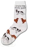 Cavalier King Charles Poses Socks