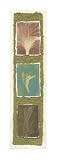 Feather Fossils I on FAP by June Erica Vess. CANVAS WITH BRUSHSTROKES with 1 1/2 inch bars. 5.07 inches width by 26.05 inches height. Highest Quality Art Poster Print