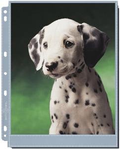 Multi-purpose 8x10 archival print protector pockets for all type albums and binders - 8x10