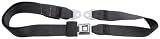 31gKfGP0MWL. SL160  Allstar Performance ALL98112 Charcoal Two Point Non Retractable Seat Belt