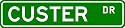CUSTER Street Name Sign ~ Personalized Family Lastname Sign ~ Gameroom, Basement, Garage Sign