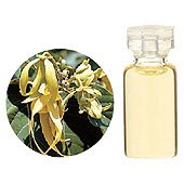 エッセンシャルオイル　イランイラン10ｍｌ