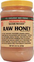 YS Royal Jelly/Honey Bee - Raw Honey, 22 oz gel