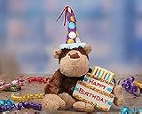 The Party Monkey