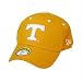 Tennessee Volunteers Concealer