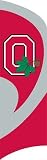 NCAA Ohio State Buckeyes Tall Team Flag W/Pole.