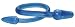 Blue Snake