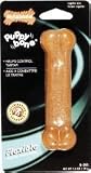 Nylabone Puppy Bone Regular - N-200