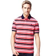 XXXL Blue Harbour Pure Cotton Varied Striped Polo Shirt