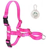 Easy Walk Dog Harness | 2 Pack Bundle | No Pull Harness and LED Dog Collar Safety Blinker Light - Great For Jack Russell Terrier, Pug, Yorkshire Terrier, and Toy Sized Breeds