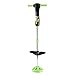 Fisher-Price Grow-to-Pro Pogo