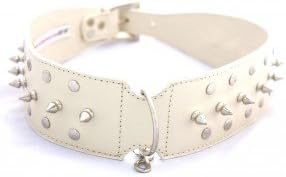Gladiator Glam Collar in cream Large 1 col