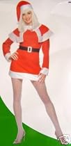 Miss Santa Dress and Cape