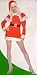 Miss Santa Dress and Cape
