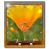 31gNj8ZypmL. SL160  California Poppy Orange Flower Floral Photography Nature   6x6 Desk Clock