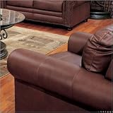 Hudson Bay Leather Chair By Coaster Furniture