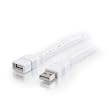 Cables To Go 26686 USB 2.0 Cable for iPod/iPhone/iPad A Male to A Female Extension Cable, White (3 Meters/9.84 Feet)