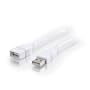 Cables To Go 26686 USB A Male to A Female Extension Cable, White (3 Meters/9.84 Feet)