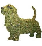 Basset Hound Lighted Topiary Frame
