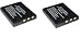 Fuji NP-40 Two Pacl (2 Batteries) Replacements