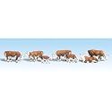 HO Hereford Cows