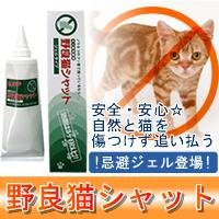 Cover image : 野良猫シャット