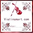 ViolinSmart 4/4 Violin Strings Set
