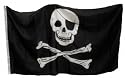 Skull Flag