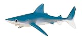 Monterey Bay Aquarium - Blue Shark