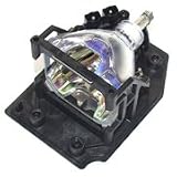 InFocus C20 Projector Lamp