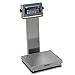Bench/Floor Scale DORAN APS22100/15 Stainless Steel 100 x 0.02 lb