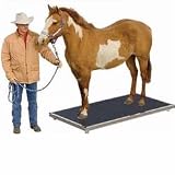 Salter Brecknell ES-2500 Equestrian Scale / Large Animal Vet Scales, 2,500 x 0.5 lb
