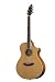 Breedlove Atlas Stage C250/CK Limited Edition Acoustic Electric Guitar