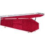 Coffin Case 3000R Coffin Bass Guitar Case