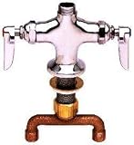T&S Brass B-0200 Swivel Base Faucet With 065X Nozzle