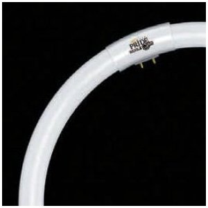 【クリックで詳細表示】【明るさアップ！】TOSHIBA ネオスリムZプライド 高周波点灯専用形蛍光ランプ 34W形 電球色 定格寿命18000時間 FHC34EL-PDL