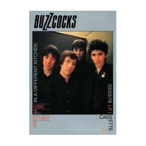 Buzzcocks Music Poster ~ In a Different Kitchen ~ Indie ~ Poster Print ~ Aprox 24 X 36 Inches