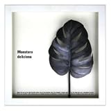 �s���[�t�A�[�g�tF-style Frame Monstera deliciosa /sumi�i�����X�e�� �f���V�I�T/�n�j