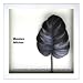 �s���[�t�A�[�g�tF-style Frame Monstera deliciosa /sumi�i�����X�e�� �f���V�I�T/�n�j